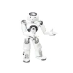NAO V6