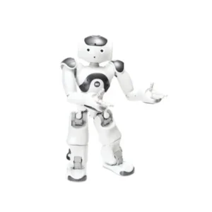NAO V6